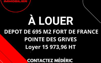 A LOUER DEPOT DE 695 M2 FORT DE FRANCE POINTE DES GRIVES