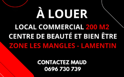 A LOUER LOCAL COMMERCIAL 200 m2- CENTRE DE BEAUTÉ ET BIEN ÊTRE – ZONE LES MANGLES – LAMENTIN