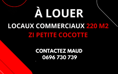 A LOUER LOCAUX COMMERCIAUX 220 m2 ZI PETITE COCOTTE 