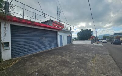 A LOUER LOCAL COMMERCIAL DE 227 M2 DIVISIBLE – RTE DES RELIGIEUSES – en cours de rénovation
