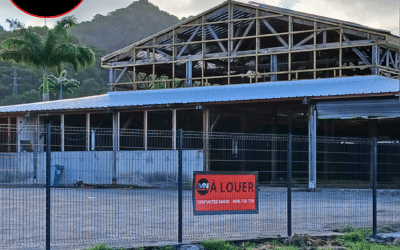 A LOUER LOCAL COMMERCIAL / BUREAUX / DÉPÔT DIVISIBLE DE 987 M2 + 350 M2 DE MEZZANINE À LA ZA SEMAIR LE ROBERT
