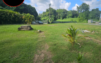 A VENDRE TERRAIN PLAT 2150 M² AU LAMENTIN – ZA BOIS CARRÉ