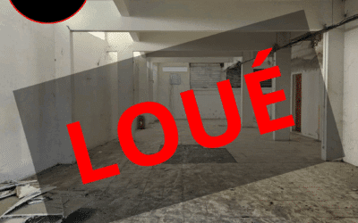 A LOUER LOCAL COMMERCIAL DE 227 M2 DIVISIBLE – RTE DES RELIGIEUSES – en cours de rénovation – 5221 €