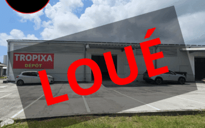 A LOUER LOCAL COMMERCIAL DE 563 M2 ZI LA SEMAIR – LE ROBERT-10 134 HT €