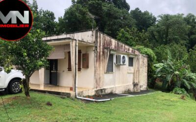 🏡 A VENDRE MAISON A RENOVER – DUCOS – 270 000 €