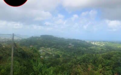 🏡A VENDRE TERRAIN DE 1600 M2 AVEC MAISON A RENOVER – DUCOS – 255 000 €