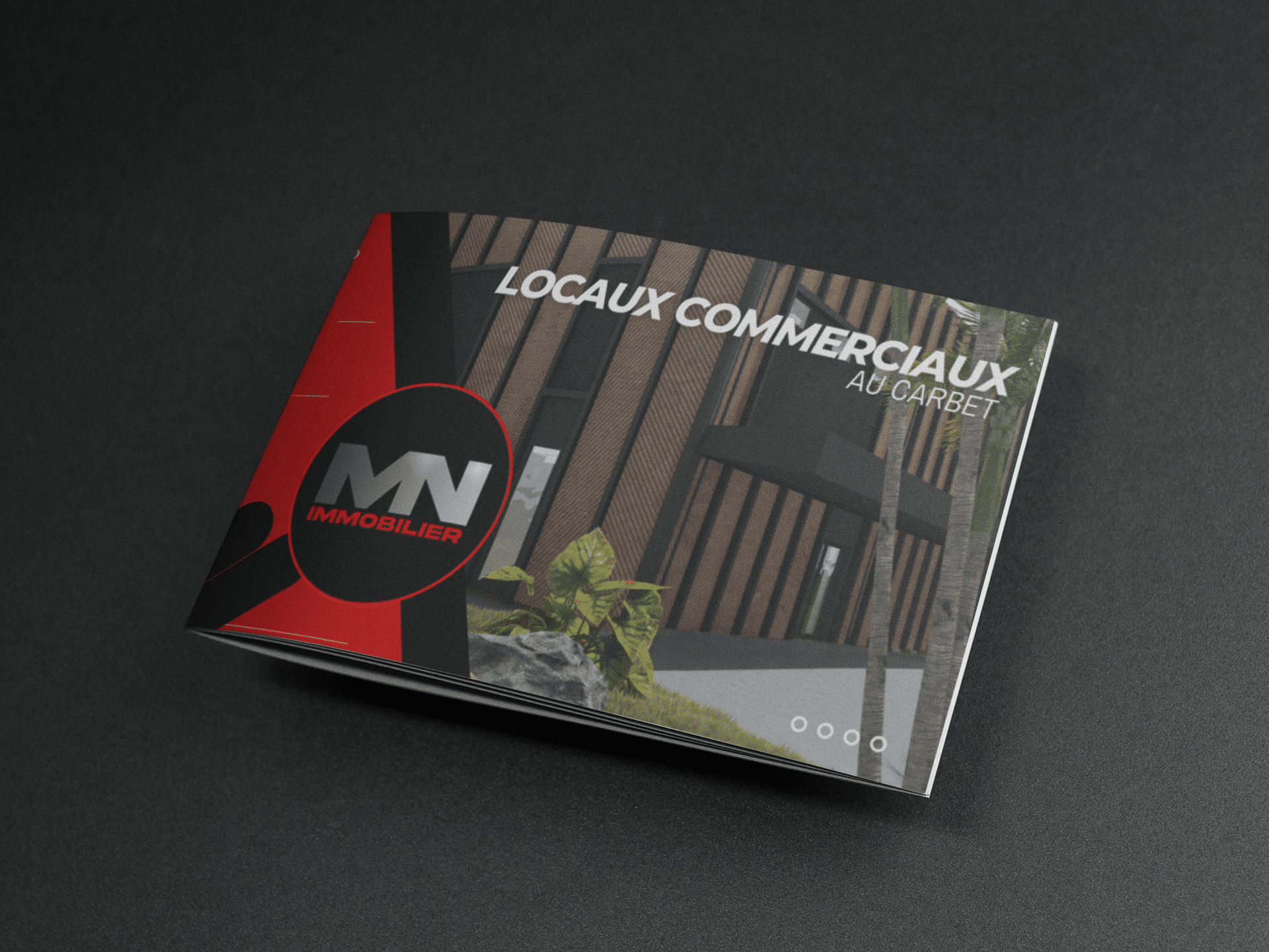 centre commercial lagrosilliere a la trinite par mn immo