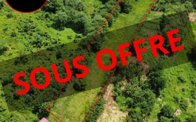 VENDRE TERRAIN DE 4459 M2 – GRAND CHAMP LE LAMENTIN – 375 000 €