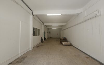À LOUER – Entrepôt – ZI Les Mangles – Le Lamentin – 2 390 €