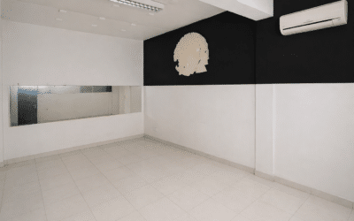 À LOUER – Local professionnel / tertiaire / médical 42 m² – Terres Sainville – Fort-de-france – 691 € HT