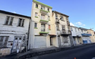 À VENDRE – Immeuble de rapport – Terre Sainville – Fort-de-France